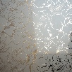 DSC00717.JPG